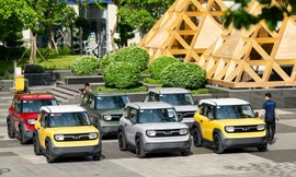 Tín đồ xe điện Hải Phòng, Đồng Nai lên lịch 'Vi vu muôn ngả - Phủ xanh Việt Nam' cùng VinFast