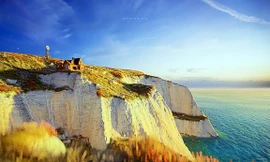 Họa sĩ đồ họa ĐH Duy Tân với giải Nhất Fox’s Got Talent