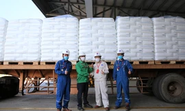 Đại diện BSR và Công ty nhựa Opec bàn giao lô sản phẩm hạt nhựa T3045