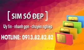 Tổng hợp những đầu sim số đẹp từ các nhà mạng lớn tại Việt Nam