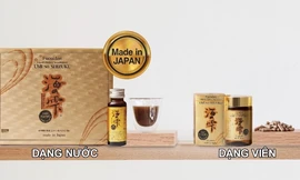 Fucoidan Mix AG - Bí quyết nâng cao sức đề kháng mùa dịch