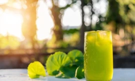 Rau má và những công dụng bất ngờ với người thường xuyên nóng trong, nhiệt miệng