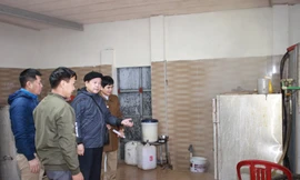 Nâng cao nhận thức cho các hộ sản xuất rượu thủ công