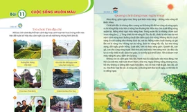 Xóa bỏ độc quyền, đa dạng SGK tạo nhiều thuận lợi cho giáo viên và học sinh