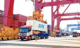 THILOGI đẩy mạnh dịch vụ xuất khẩu sầu riêng chính ngạch qua cảng Chu Lai