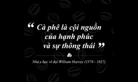 Buôn Ma Thuột và tầm nhìn Thành phố cà phê của thế giới