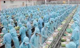 Thủy sản Việt Nam và khát vọng chú ngựa Ô 