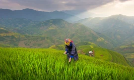 Manulife phối hợp Diễn đàn Kinh tế Thế giới phát động cuộc thi 'Đổi mới vì Tương lai Dân số Châu Á'