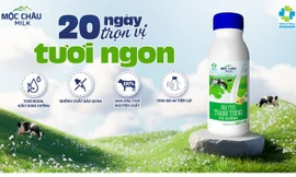 Mộc Châu Milk: Thương hiệu quốc gia duy trì bản lĩnh, thích ứng nhanh với thị trường