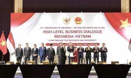 Bà Đặng Huỳnh Ức My tính toán gì khi đẩy mạnh hợp tác tại Singapore và Indonesia? 