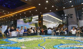 Lý do Nhà đầu tư miền Bắc ủng hộ sản phẩm Novaland