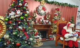 Lễ hội giáng sinh lộng lẫy giữa lòng thủ đô Hà Nội