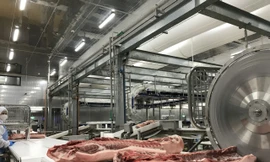 Masan đưa Tổ hợp chế biến thịt mát MEATDeli Sài Gòn vào vận hành từ tháng 10/2020