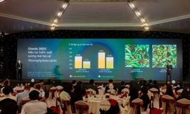 Giải pháp mới giúp kiểm soát hiệu quả bệnh sương mai trên cây vải