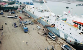 TH nhập khẩu đàn bò cho sản lượng và chất lượng sữa tốt nhất