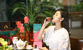 Công ty cổ phần Sâm Ngọc Linh Kon Tum giới thiệu sản phẩm tăng đề kháng 