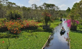 Trà Sư - bảng màu rực rỡ của thiên nhiên