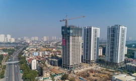 Dự án Rose Town bàn giao tòa căn hộ thứ 2 & Mở bán đợt cuối tòa DV04