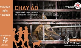 Phát động giải chạy trực tuyến nhằm chấm dứt tình trạng buôn bán thịt chó, mèo