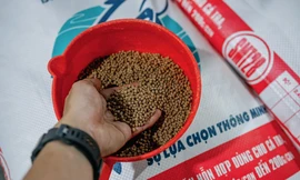 Sao Mai Super Feed - sự lựa chọn thông minh của khách hàng 