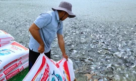 Các động thái chiến lược của những ông lớn trong ngành thức ăn thủy sản