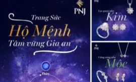 Câu chuyện Chuyển đổi số: Doanh nghiệp Việt Nam nắm bắt thị trường ngách trong đại dịch