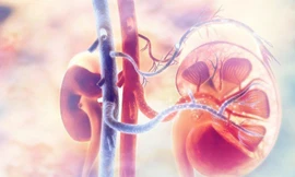 Ích Thận Vương giúp khắc phục suy thận mạn như thế nào?