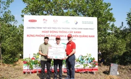 Dai-ichi Life Việt Nam phát động trồng 10.000 cây lim xanh tại Rừng Phòng hộ Phú Ninh, Quảng Nam 