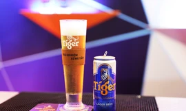 Hành trình sinh ra từ thử thách tới vị bia rạng danh khắp toàn cầu của Tiger