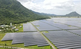 Từ vàng ươm màu nắng đến cánh đồng thương mại điện năng