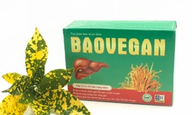 BAOVEGAN – ‘Chiến binh’ thải độc cơ thể, bảo vệ lá gan khoẻ mạnh