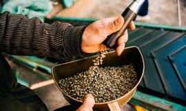 Lực đẩy tăng xuất khẩu từ EVFTA