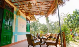 Website review homestay: giải pháp cho chủ host thu hút khách hàng