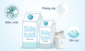 Bảo quản sữa tươi, sữa chua đúng cách – Điều đơn giản nhưng nhiều người bỏ qua