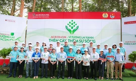 Các đại biểu tham dự Lễ phát động chương trình trồng cây xanh tại Tuyên Quang