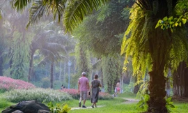 Không gian Resort triệu người mơ trong “mùa Covid”, chỉ cách hồ Hoàn Kiếm 14 km