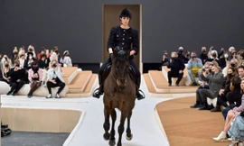 Sau Golf, đâu là bộ môn thể thao 'quý tộc' đang ngày càng được ưa chuộng ở Việt Nam