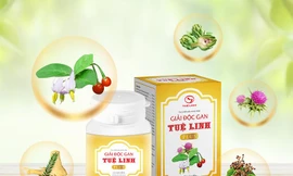 Thực hư công dụng của TPBVSK Giải độc gan Tuệ Linh Plus