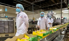 Mondelez Kinh Đô tổ chức 'Hội thảo kết nối cung – cầu trứng gà cage-free'