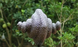 Triển lãm ‘hỏi’ – Nơi trở về của bản ngã người nghệ sỹ