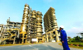 Năm 2019 – hàng loạt thành công bước ngoặt mới với BSR