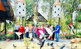 Lời thì thầm giữa đại ngàn 