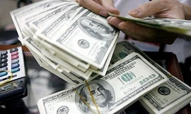 Tỷ giá hạch toán ngoại tệ trong thu chi ngân sách tháng 11/2023 