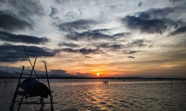 Mừng cột mốc 1,2 triệu máy Vsmart, Vfan khoe ảnh đẹp khắp mọi miền Tổ quốc 