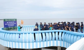 BAT Việt Nam tham gia trồng rừng, góp phần ứng phó với biến đổi khí hậu 