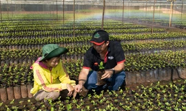 Nestlé tiếp tục được vinh danh thương hiệu thực phẩm giá trị nhất thế giới 