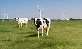 Nguyên liệu bơ sữa Hoa Kỳ: lợi thế cho sự đổi mới và phát triển bền vững