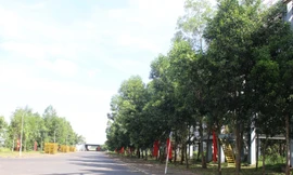 Nhiều giải pháp xử lý bùn đỏ, bảo vệ môi trường ở các dự án bô xít Tây Nguyên