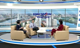 Loại trừ trách nhiệm bảo hiểm hàng hóa – Lưu ý nào cho các bên? 