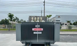 Cảnh báo hàng giả, hàng nhái kém chất lượng mang thương hiệu THIBIDI